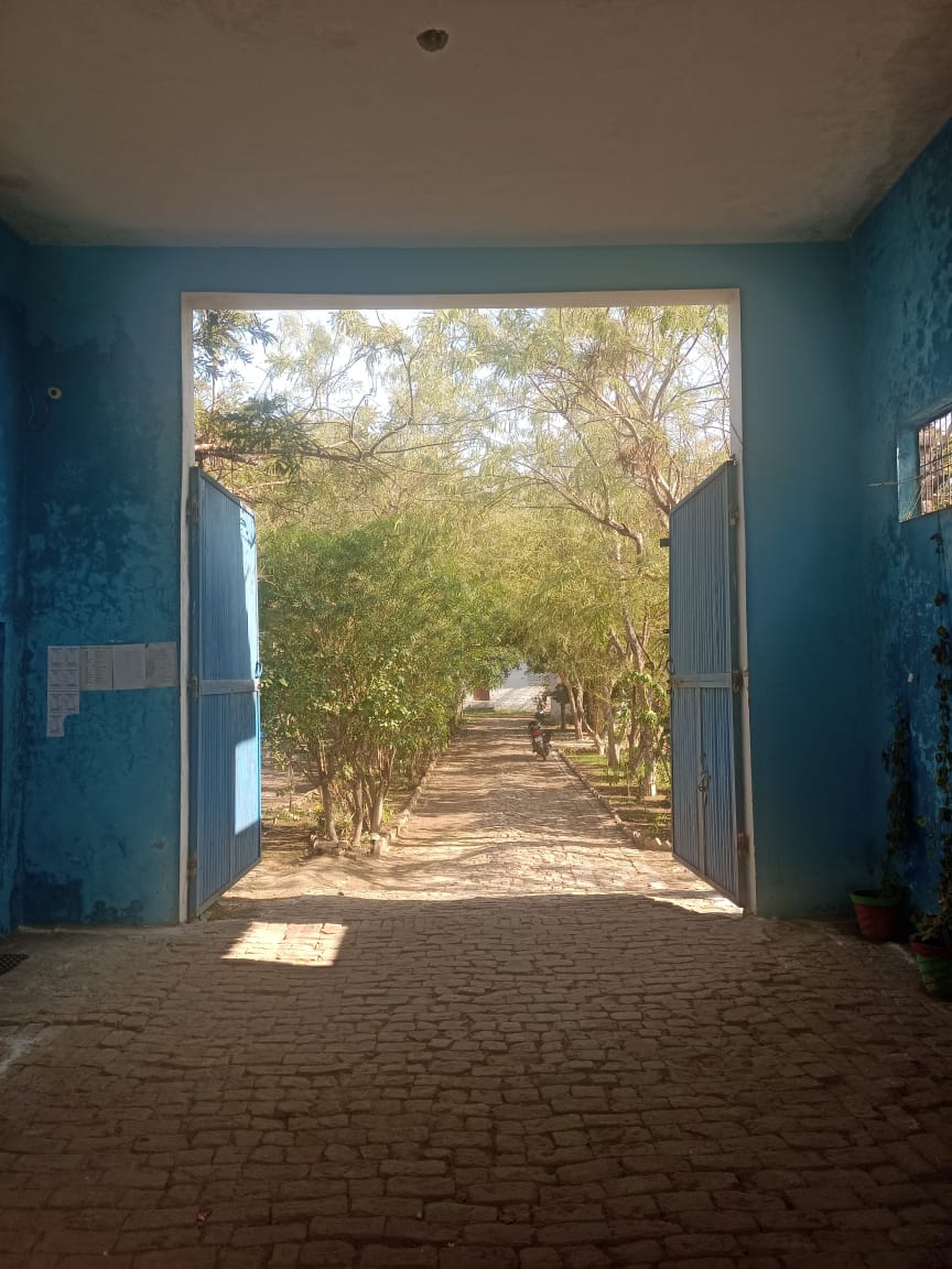 School entrance gate 