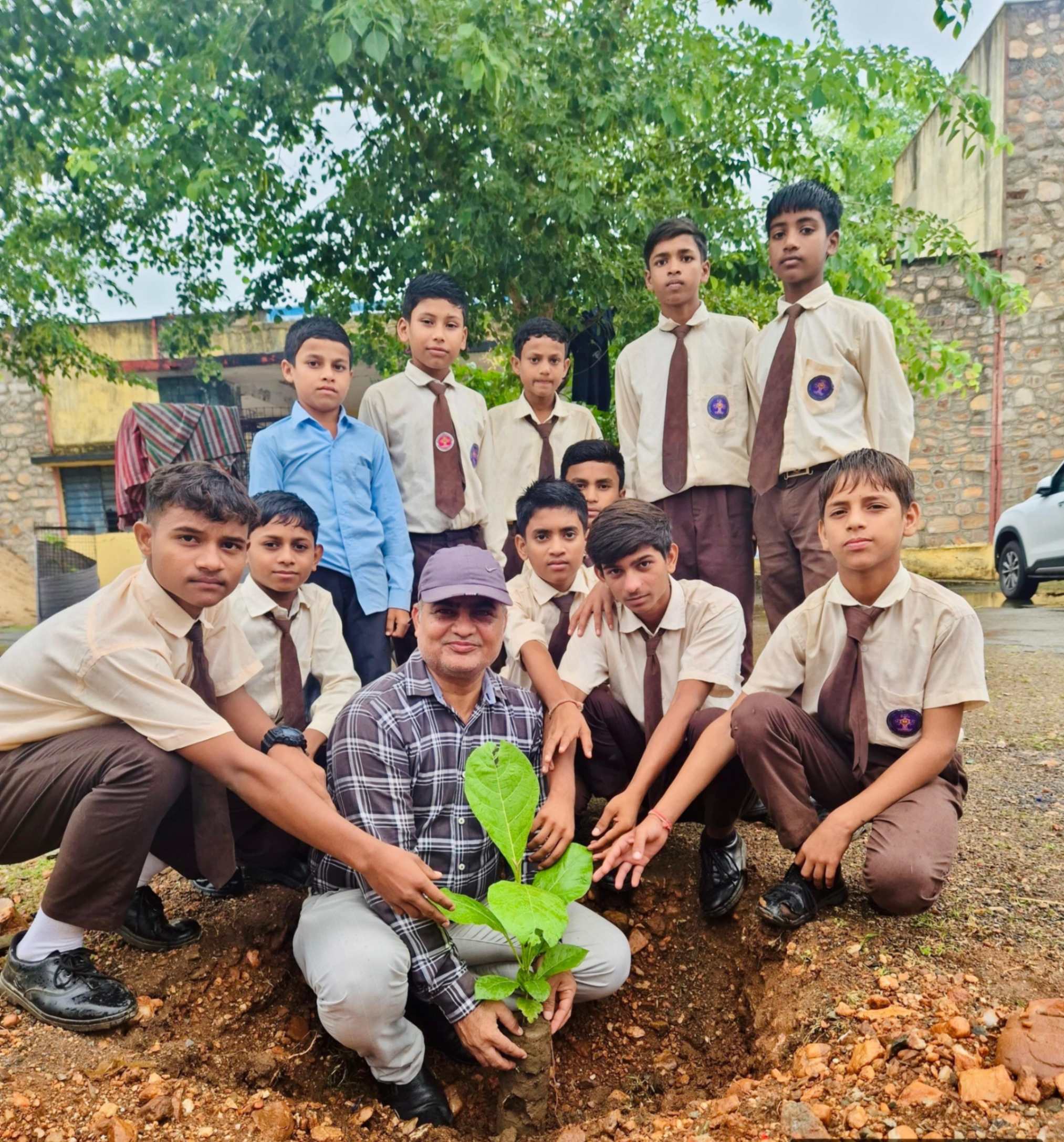 Tree Plantation