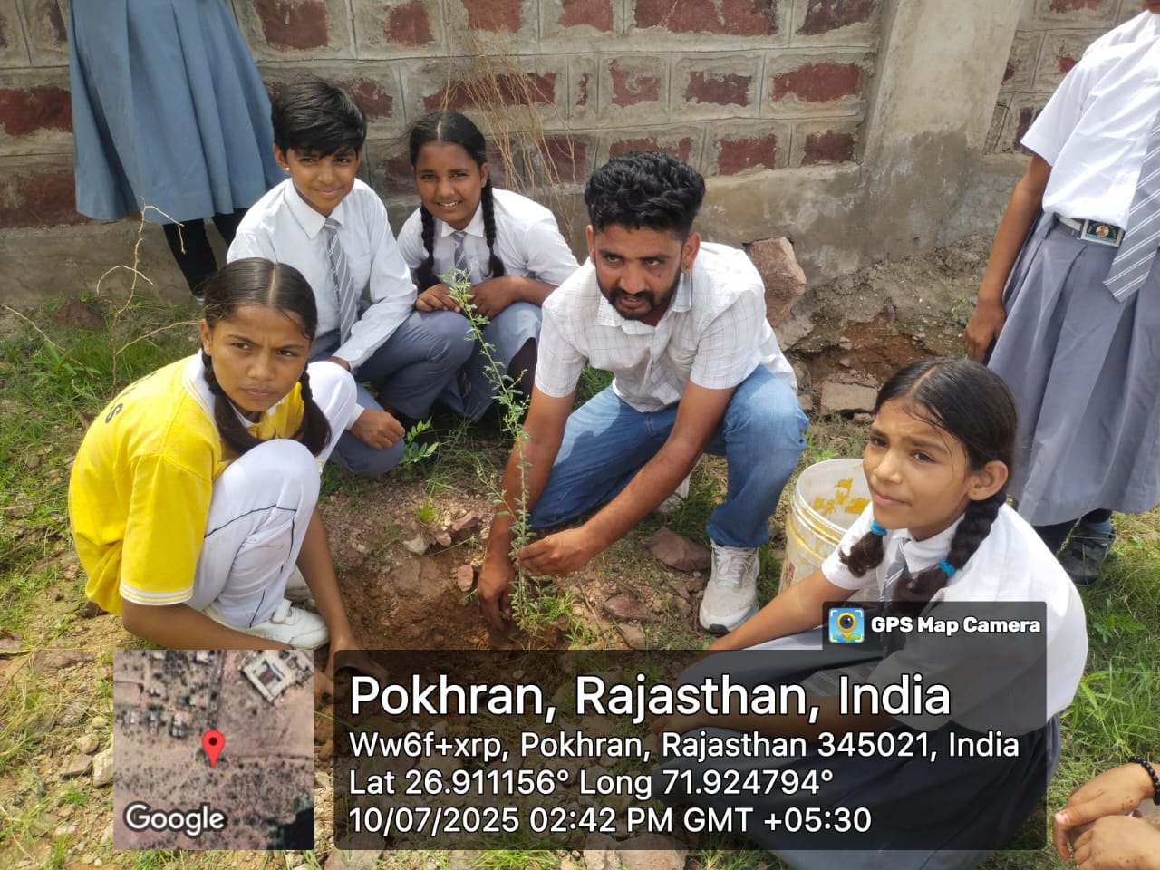 Tree plantation